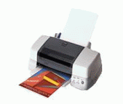 Epson Stylus Photo 870 Limited consumibles de impresión